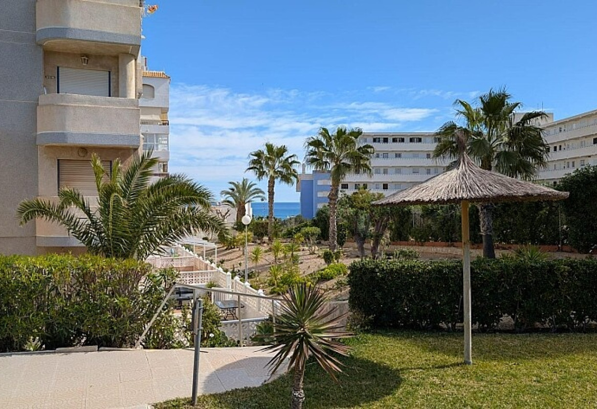 Reventa · Studio · Torrevieja · Torreblanca