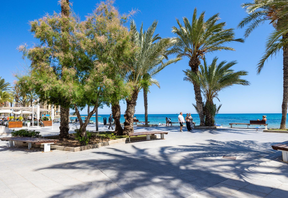 Reventa · Apartment · Torrevieja · Playa del cura