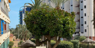 Reventa · APARTAMENTO · Torrevieja · Punta Prima