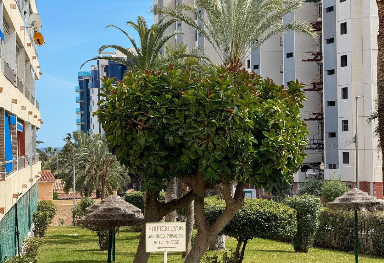 Reventa · APARTAMENTO · Torrevieja · Punta Prima