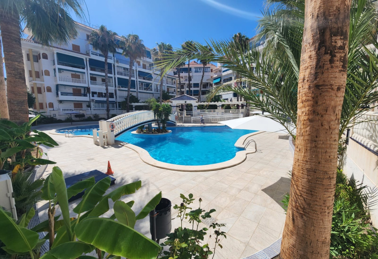 Sale · Apartment · La Mata · Los Europeos