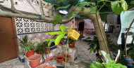 Reventa · Casa · Benejuzar