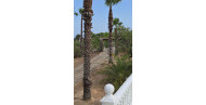 Sale · Villa · Benissa Coast