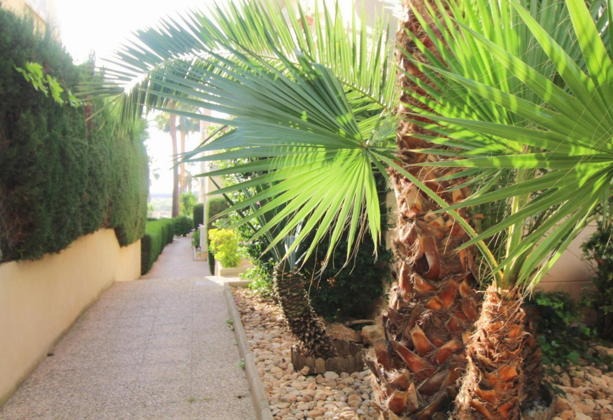 Reventa · APARTAMENTO · Torrevieja · La Veleta
