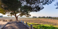 Resale · Bungalow · Torrevieja · El chaparral