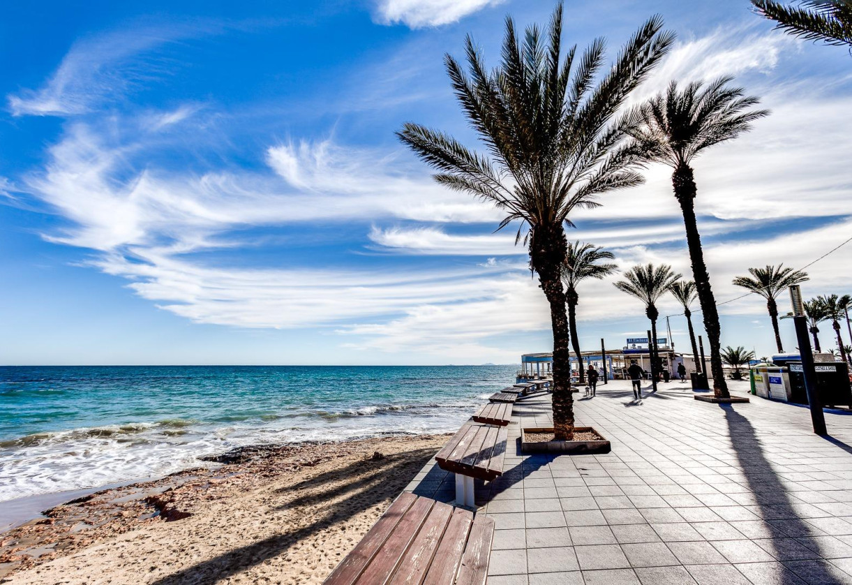 Rynek wtórny · Apartment · Torrevieja · Habaneras