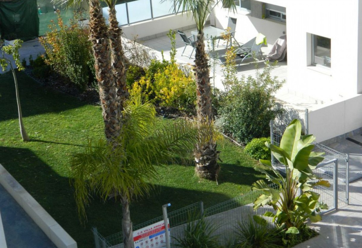 Rynek pierwotny · Penthouses · Torrevieja