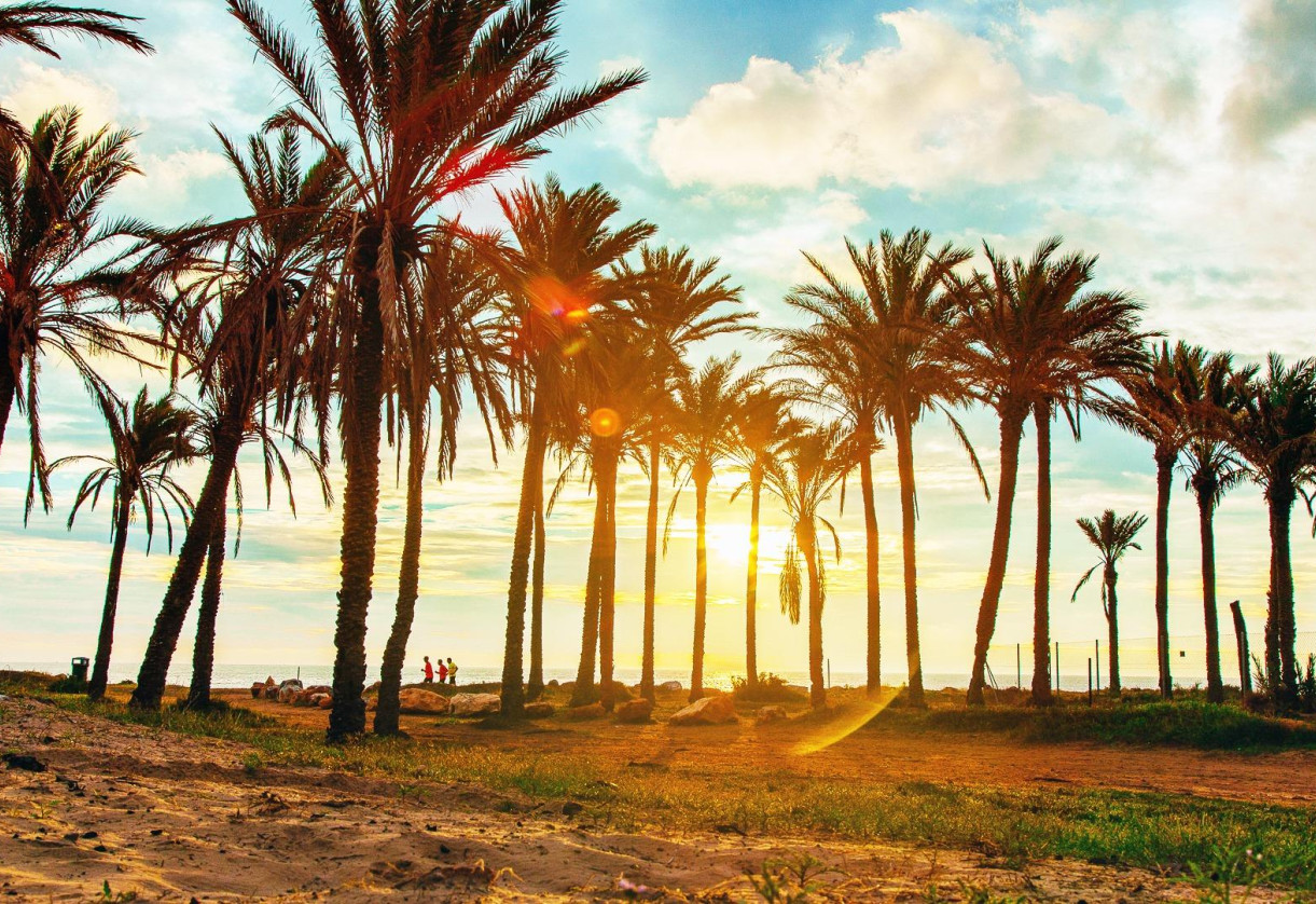 Rynek wtórny · Apartment · Torrevieja · Punta prima