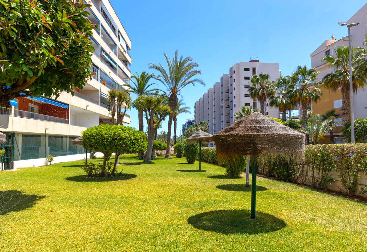 Sale · Apartment · Torrevieja · Rocio del Mar