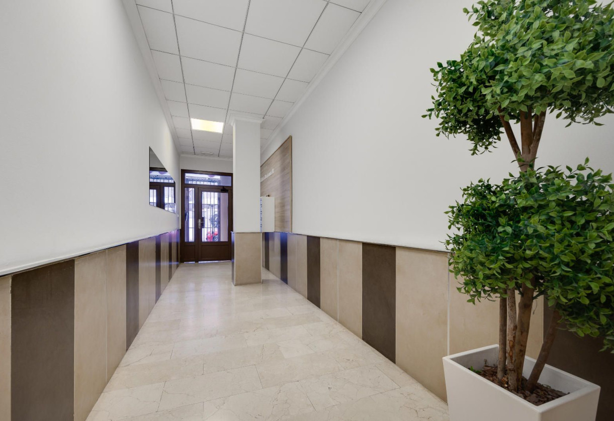 Rynek wtórny · Apartment · Torrevieja · Centro