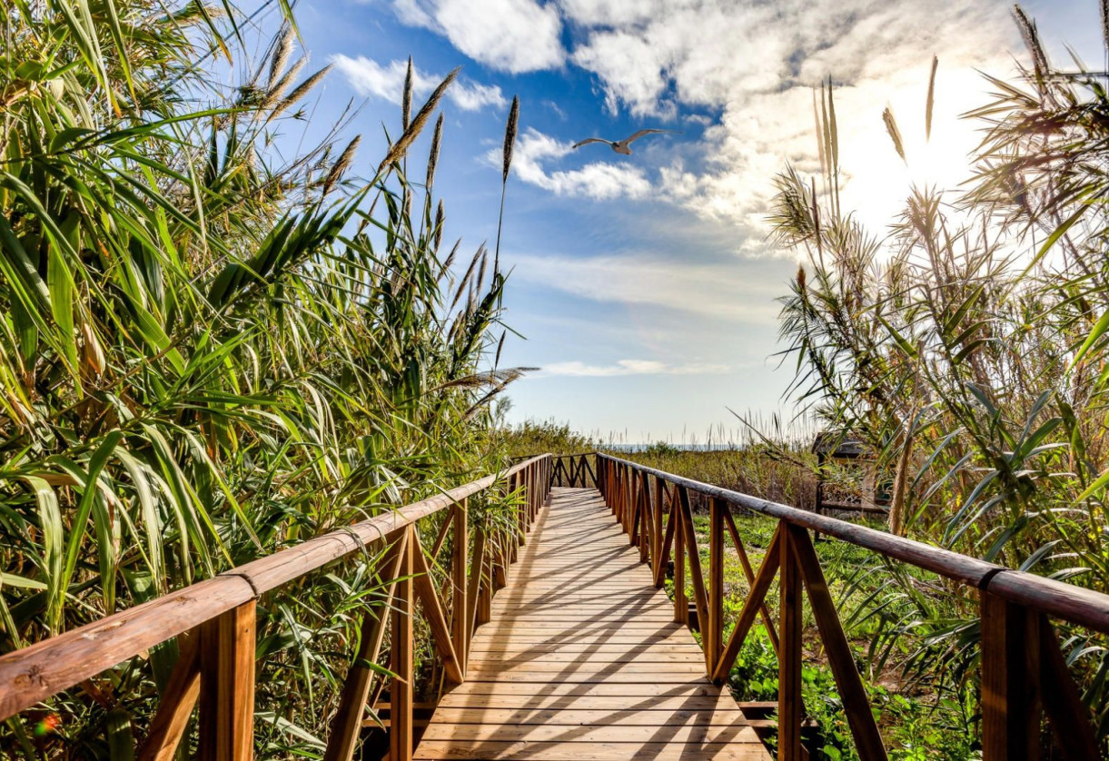 Reventa · Apartment · Torrevieja · La mata