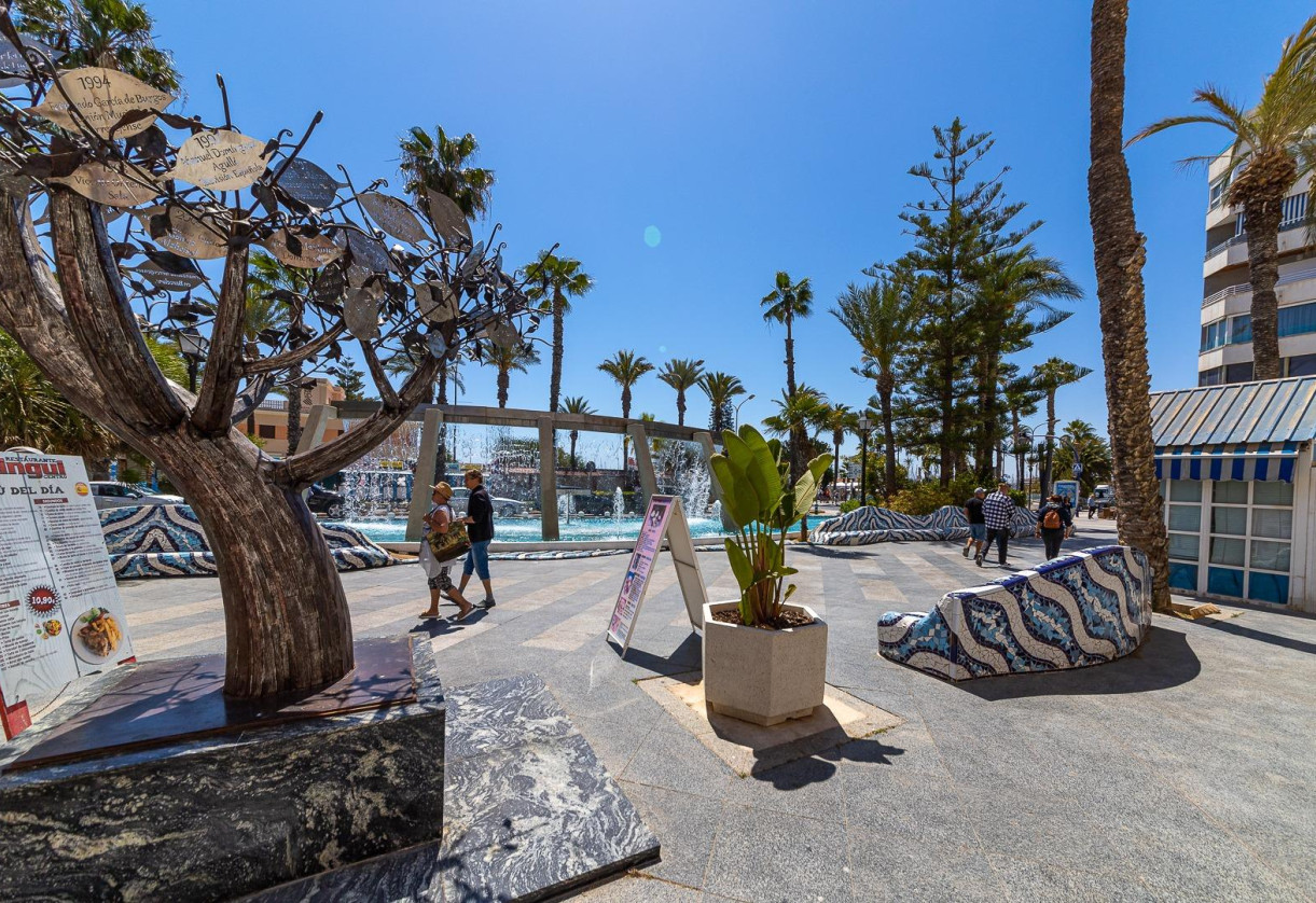 Sale · Flat · Torrevieja · Habaneras