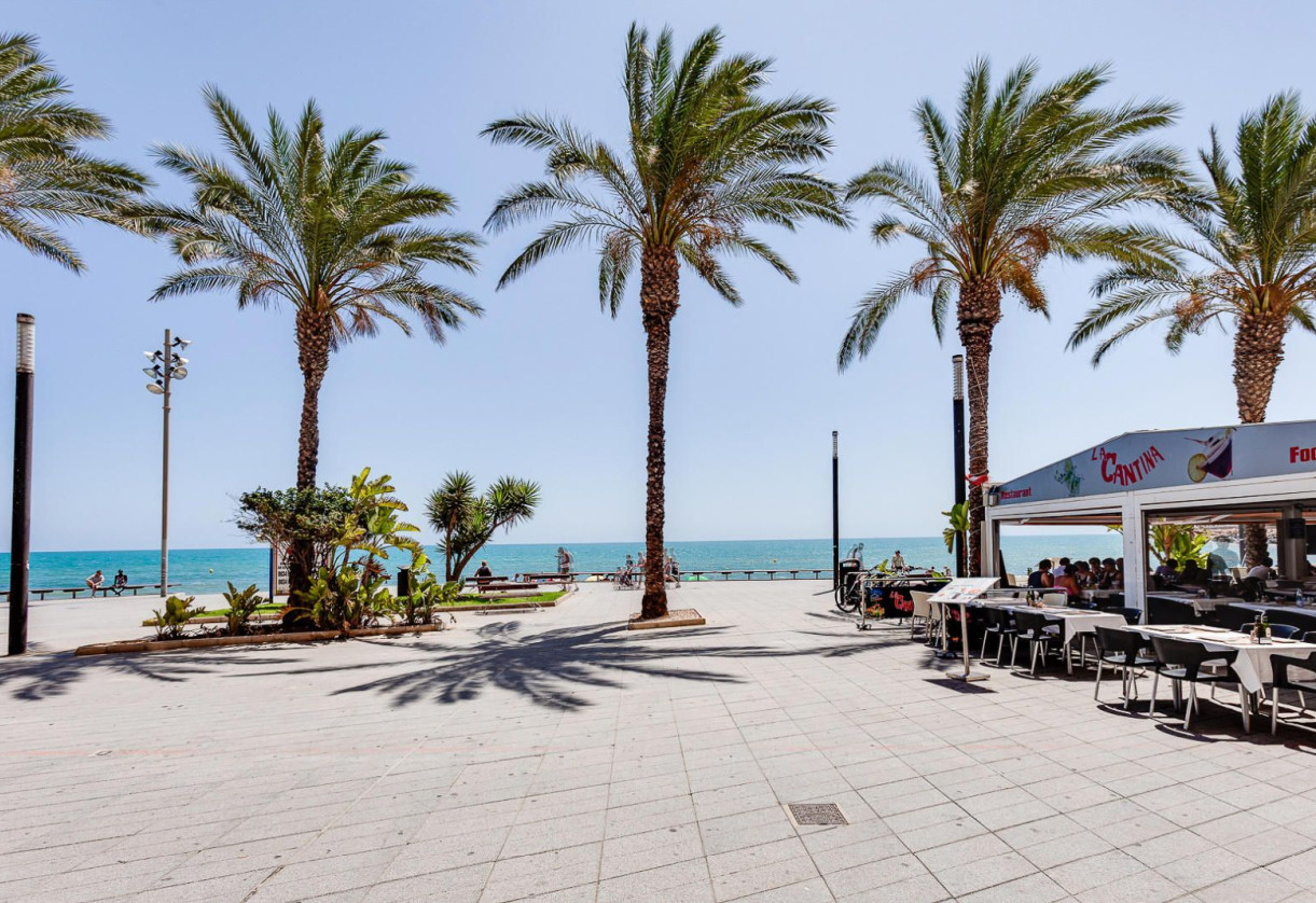 Rynek wtórny · Apartment · Torrevieja · Centro - Muelle Pesquero