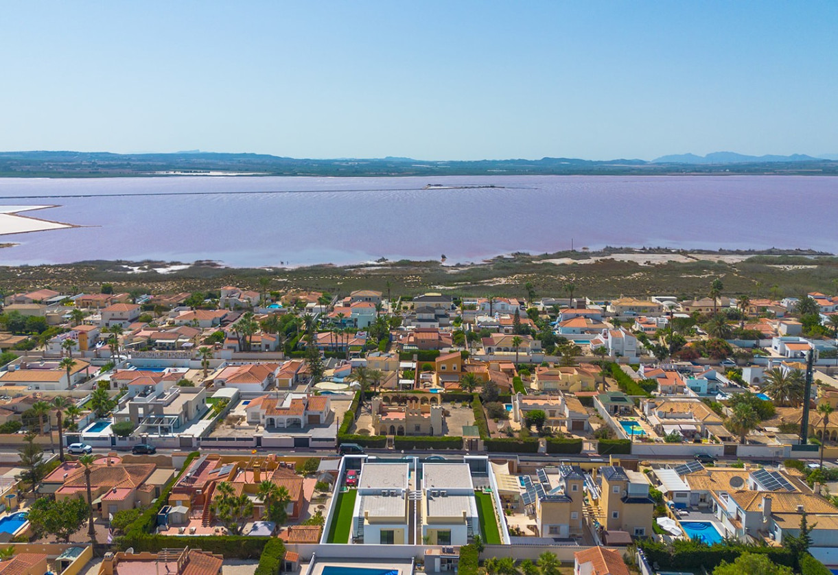 Rynek wtórny · Detached House / Villa · El Chaparral