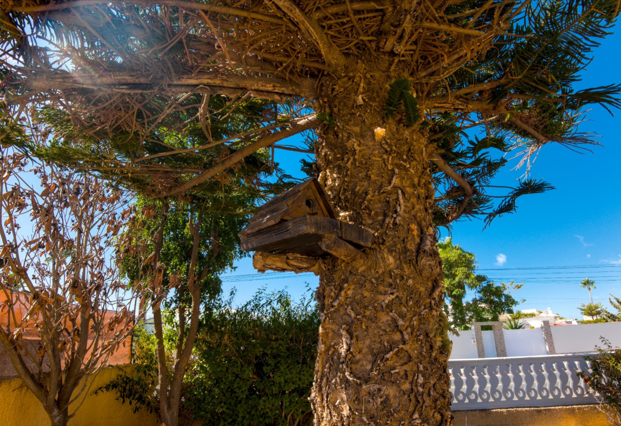 Rynek wtórny · Villa · La Siesta - El Salado - Torreta · La Siesta