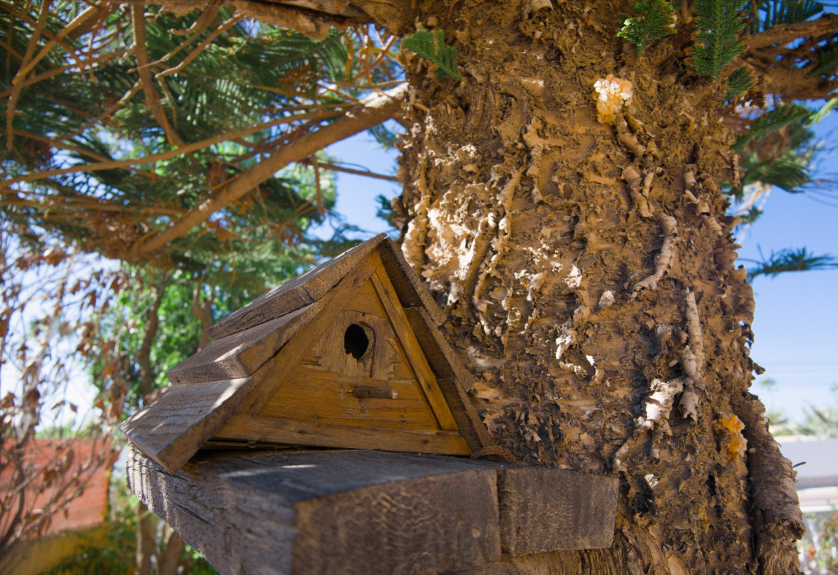 Rynek wtórny · Villa · La Siesta - El Salado - Torreta · La Siesta