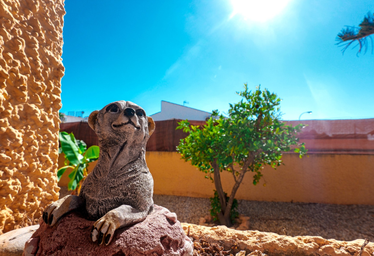 Rynek wtórny · Villa · La Siesta - El Salado - Torreta · La Siesta