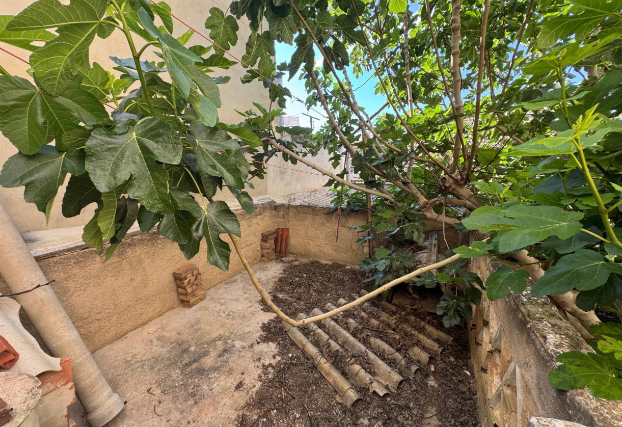 Reventa · Casa · Benejuzar