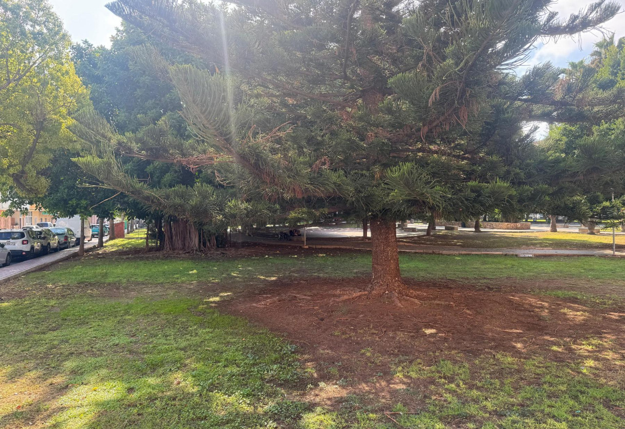 Sale · APARTAMENTO · Torrevieja · Playa del Acequión