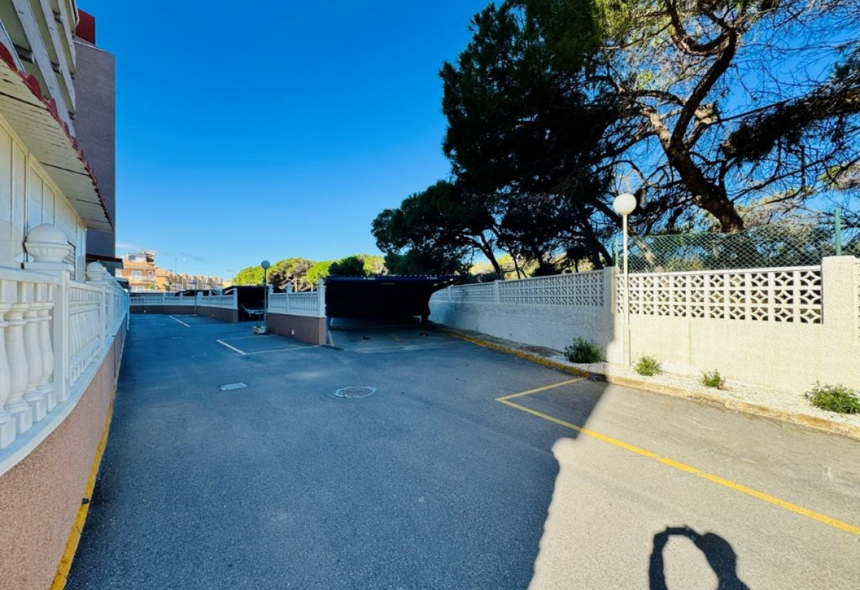 Rynek wtórny · Apartment · La Mata · Alanis