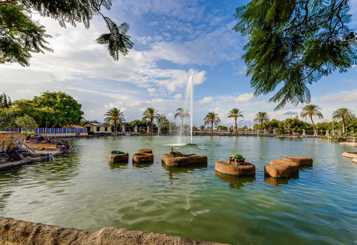 Rynek wtórny · Apartment · Torrevieja · Centro