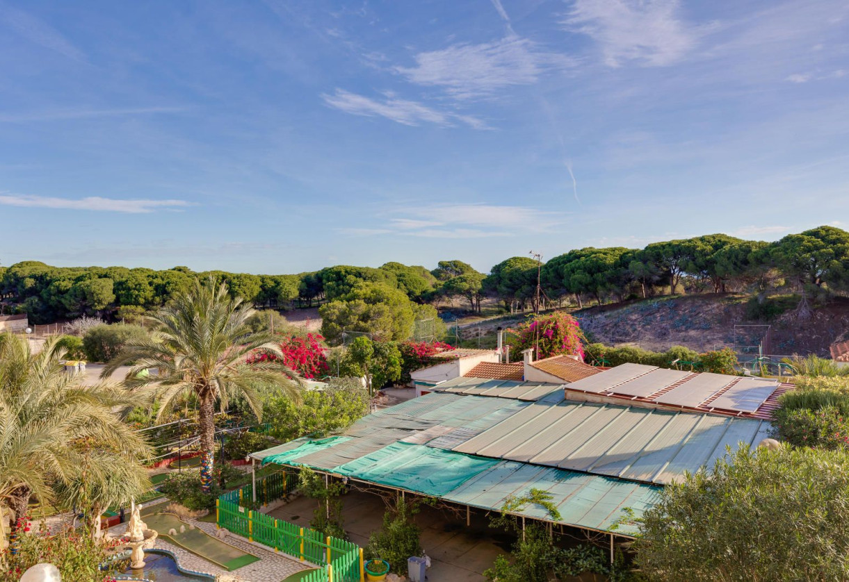 Sale · Apartment · Guardamar del Segura · Pinomar