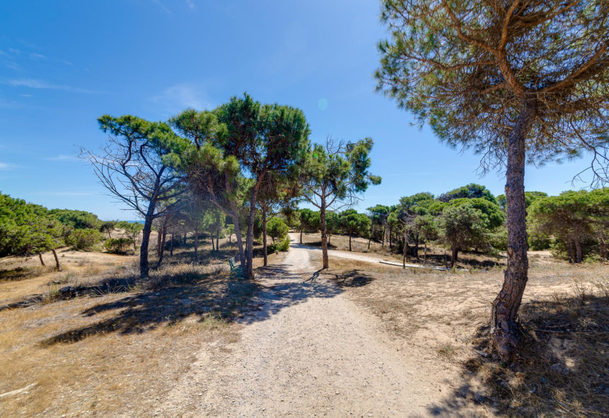 Sale · Apartment · Guardamar del Segura · Pinomar