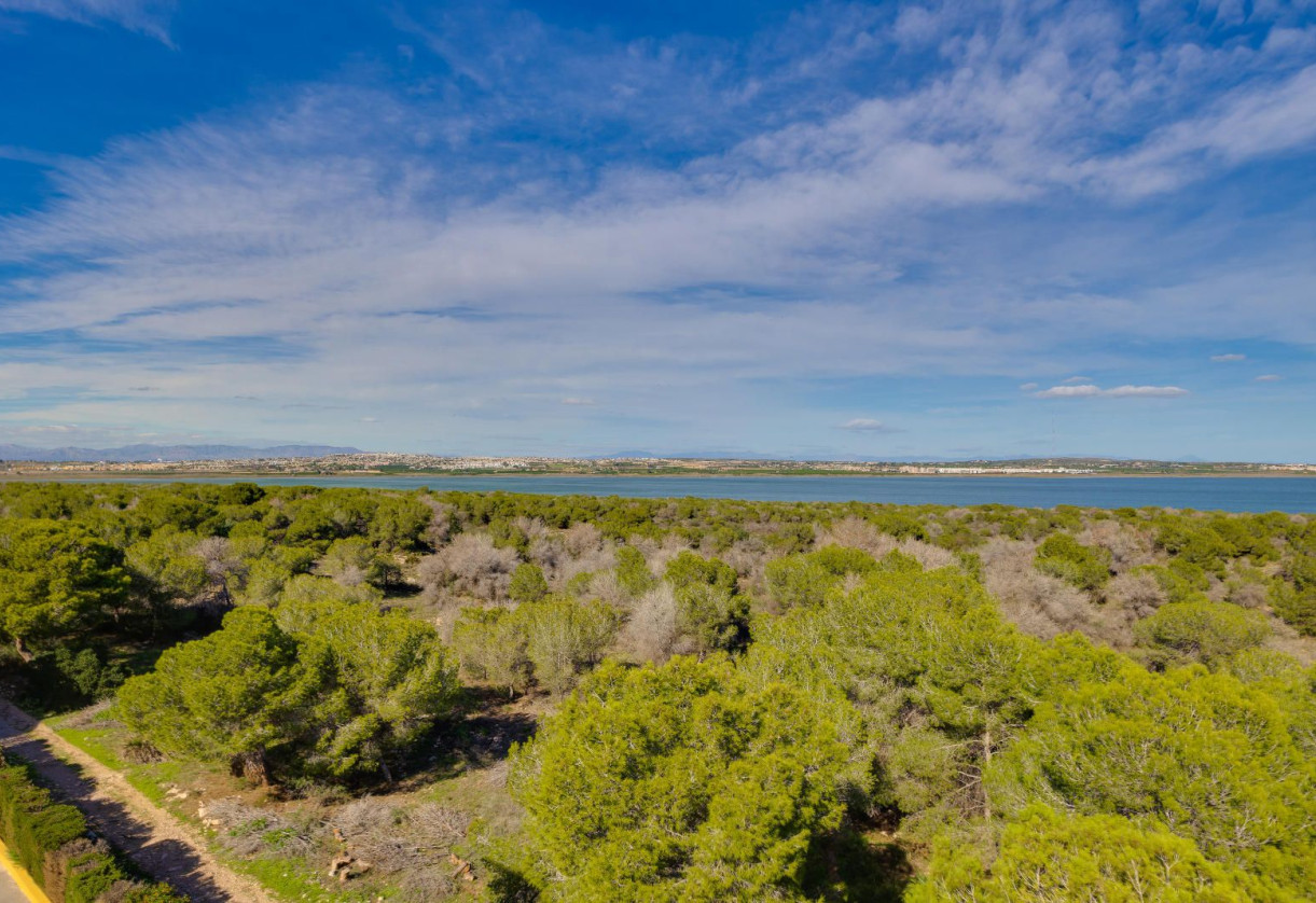 Sale · Apartment · Torrevieja · San Luis