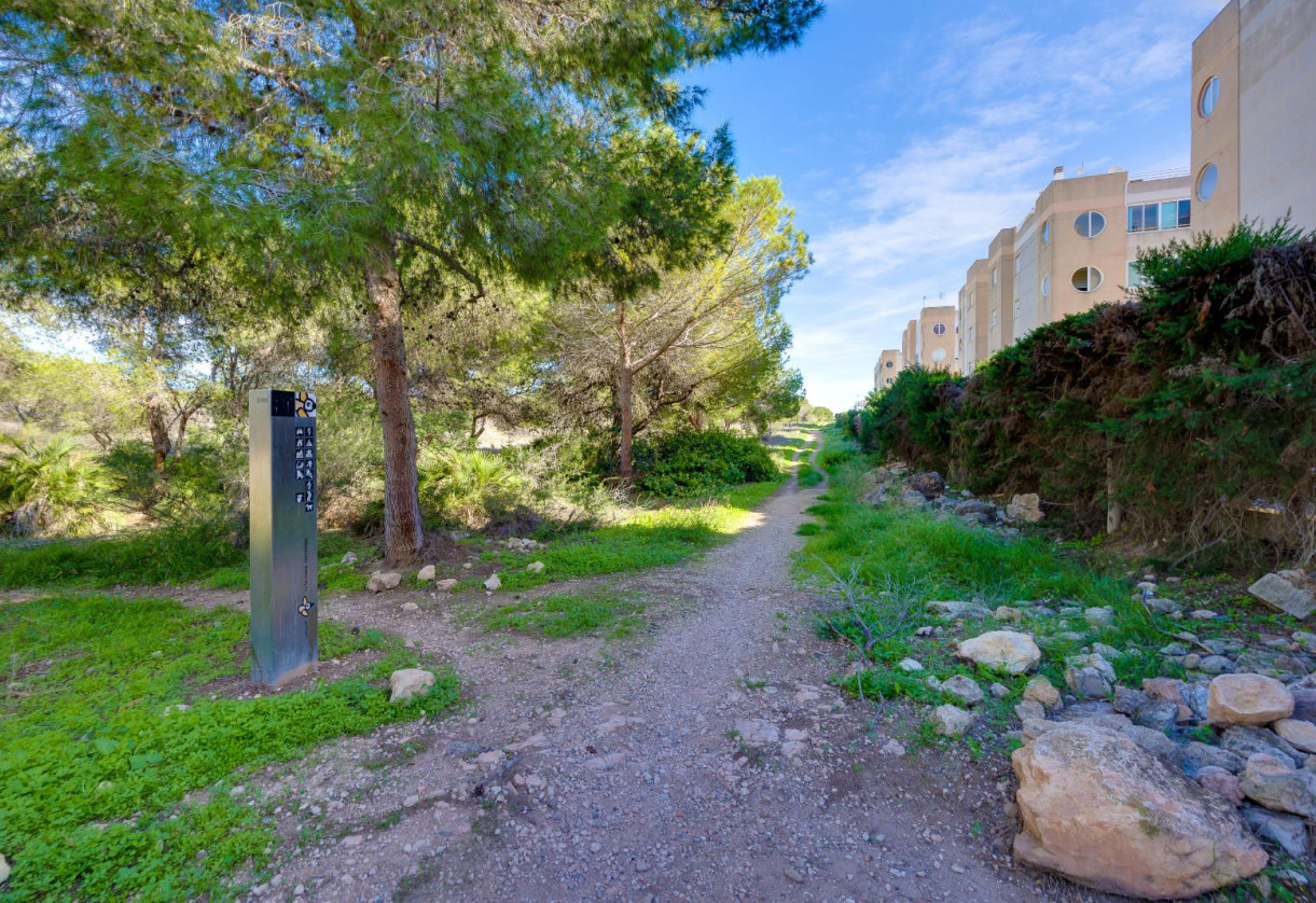 Sale · Apartment · Torrevieja · San Luis