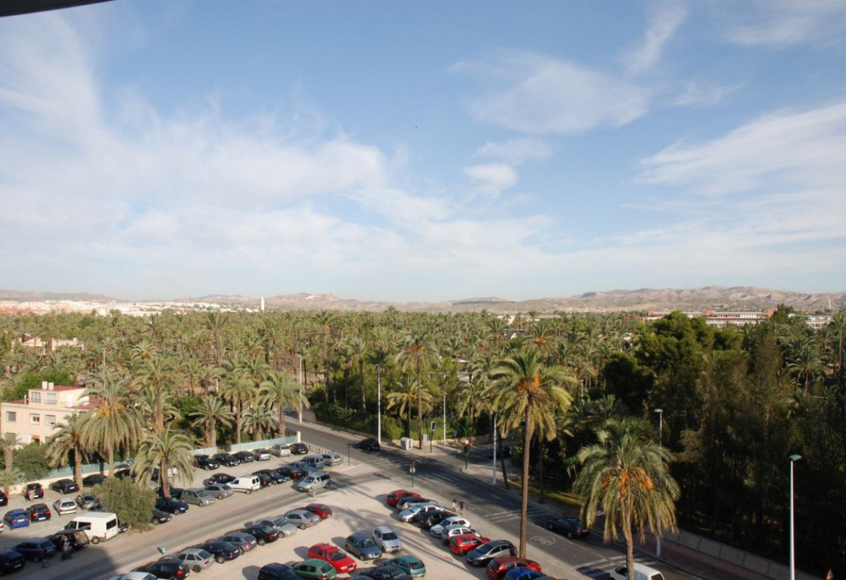 Rynek pierwotny · Apartments · Elche