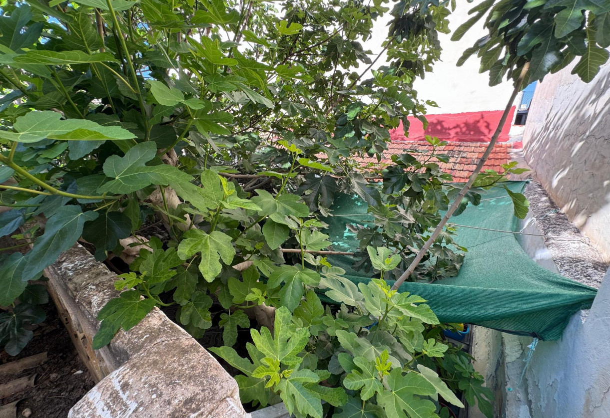 Sale · Casa · Benejuzar