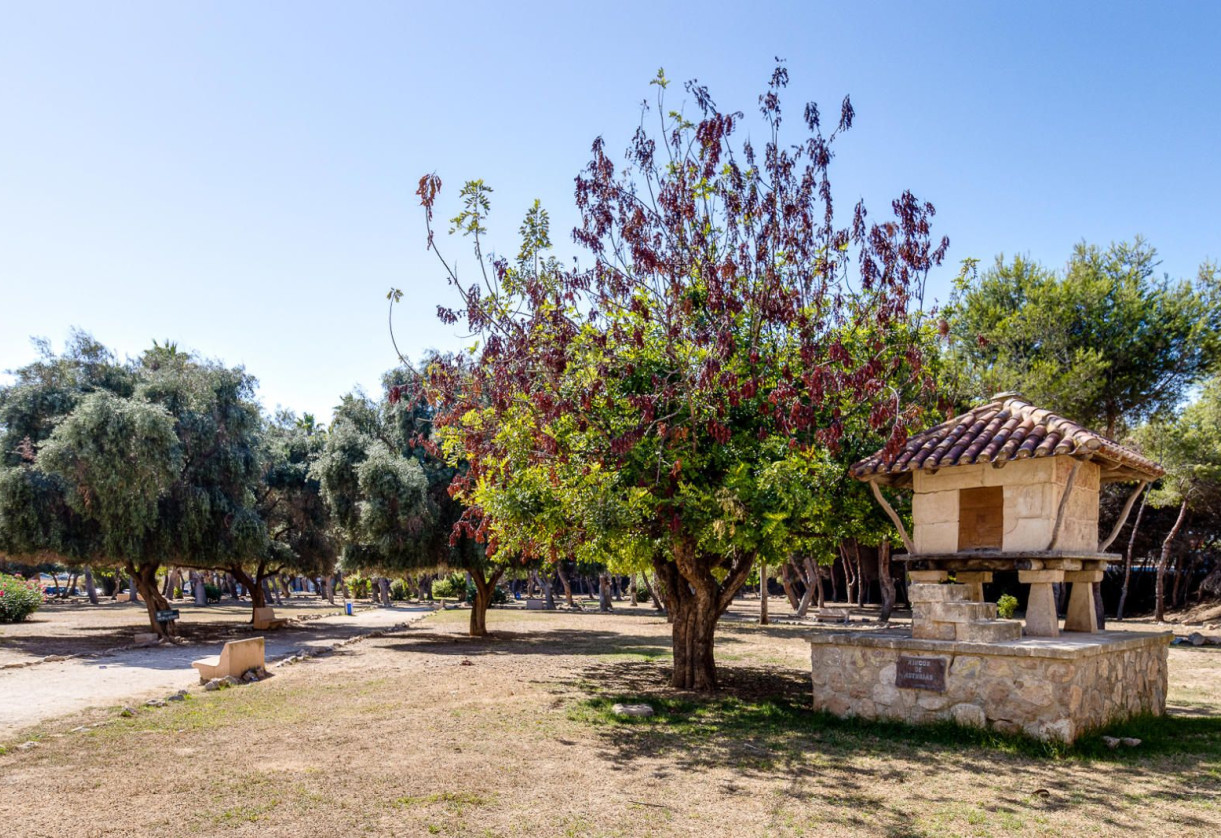 Sale · Apartment · Torrevieja · El Acequión - Los Náufragos