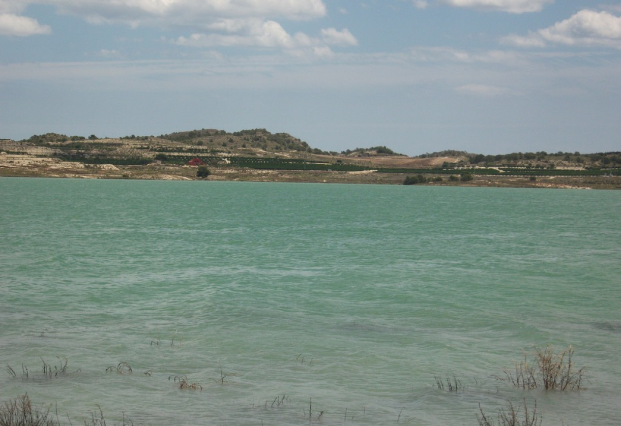 Rynek wtórny · Plot · Torremendo