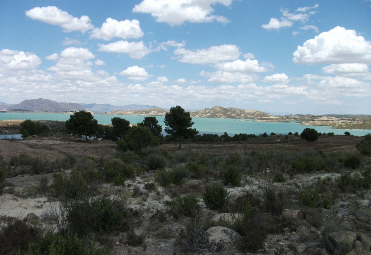 Rynek wtórny · Plot · Torremendo