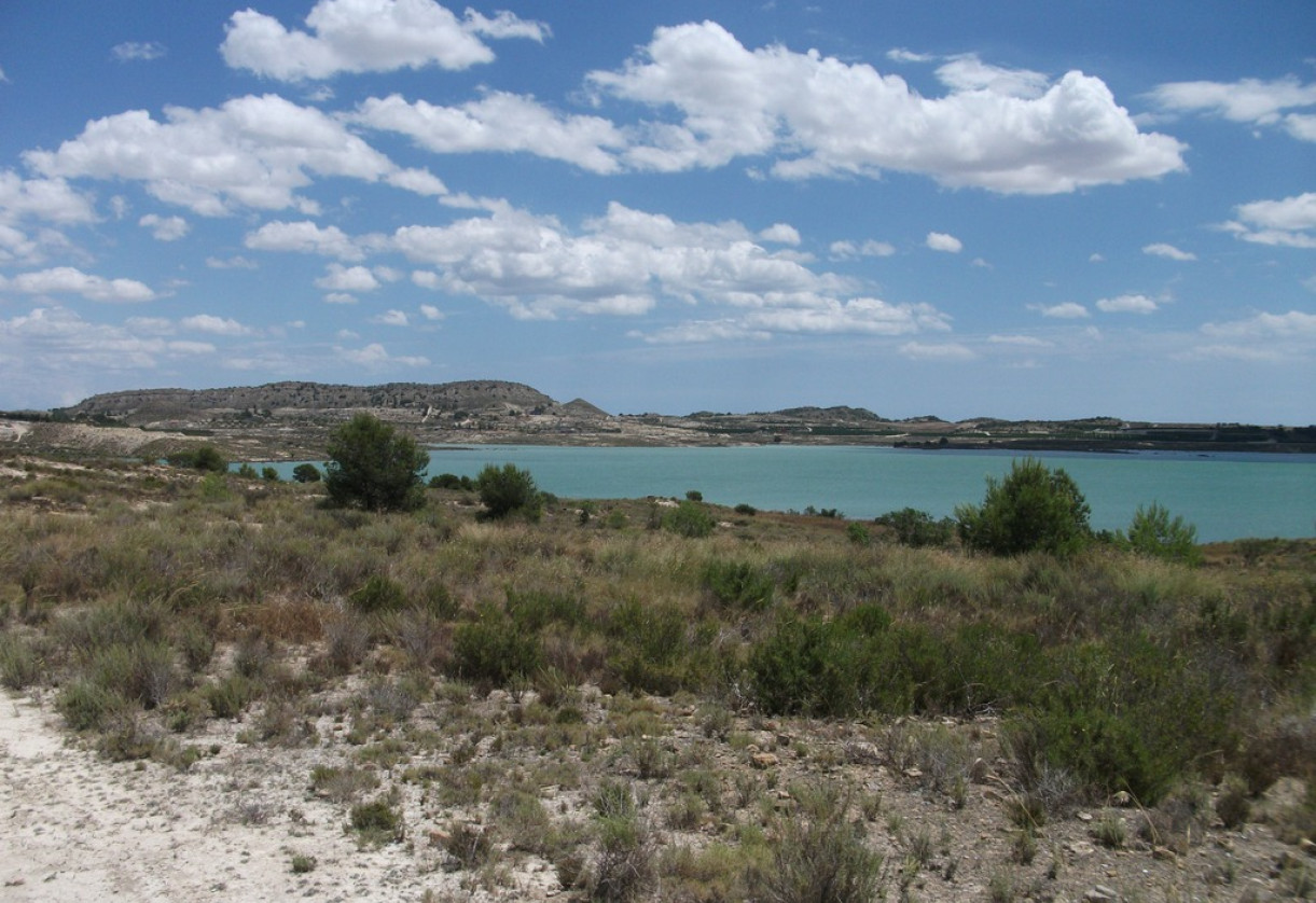 Rynek wtórny · Plot · Torremendo