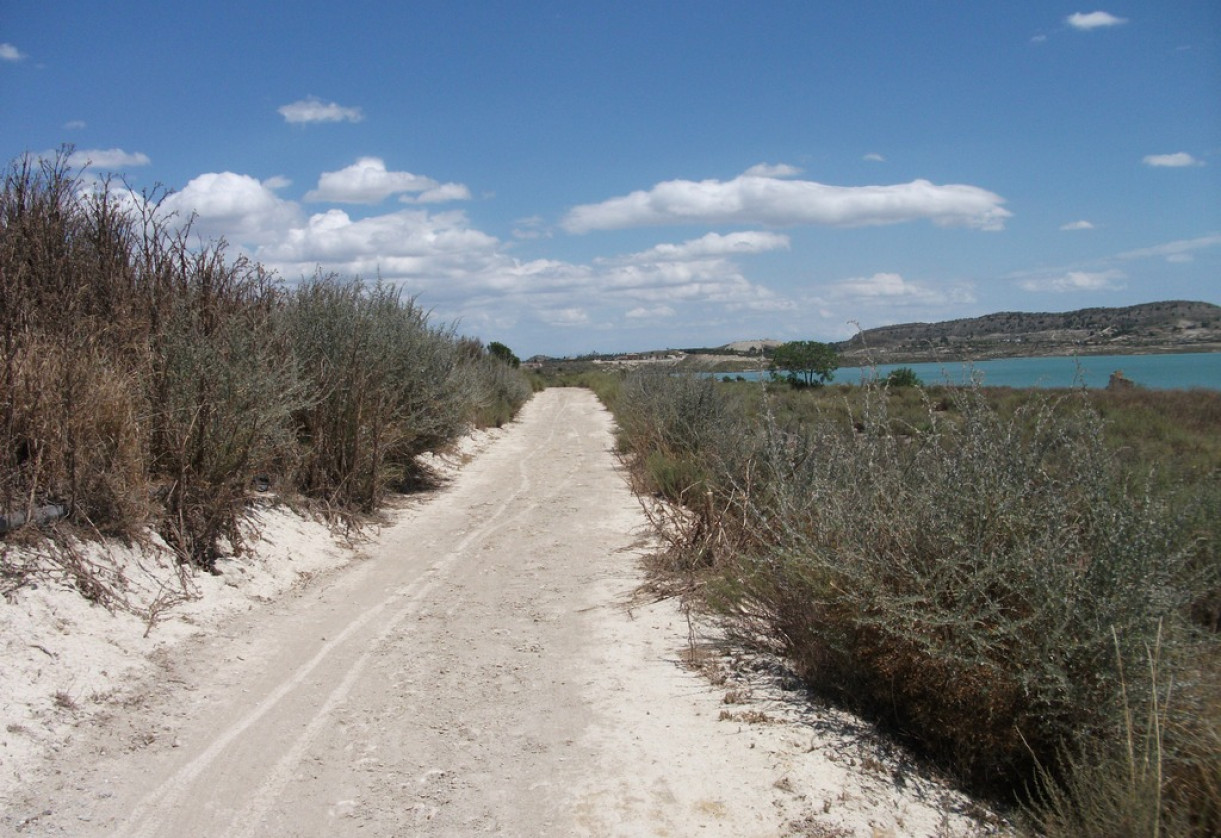 Rynek wtórny · Plot · Torremendo