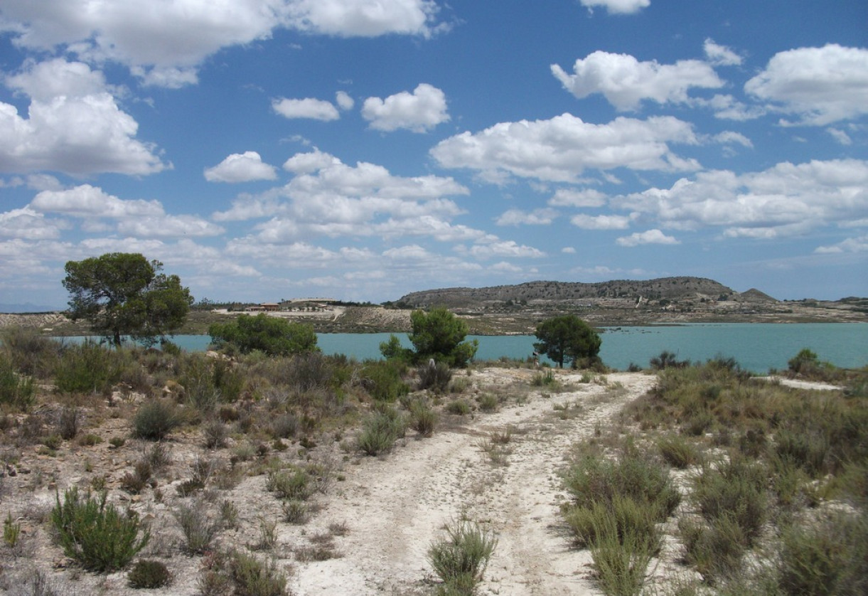 Rynek wtórny · Plot · Torremendo