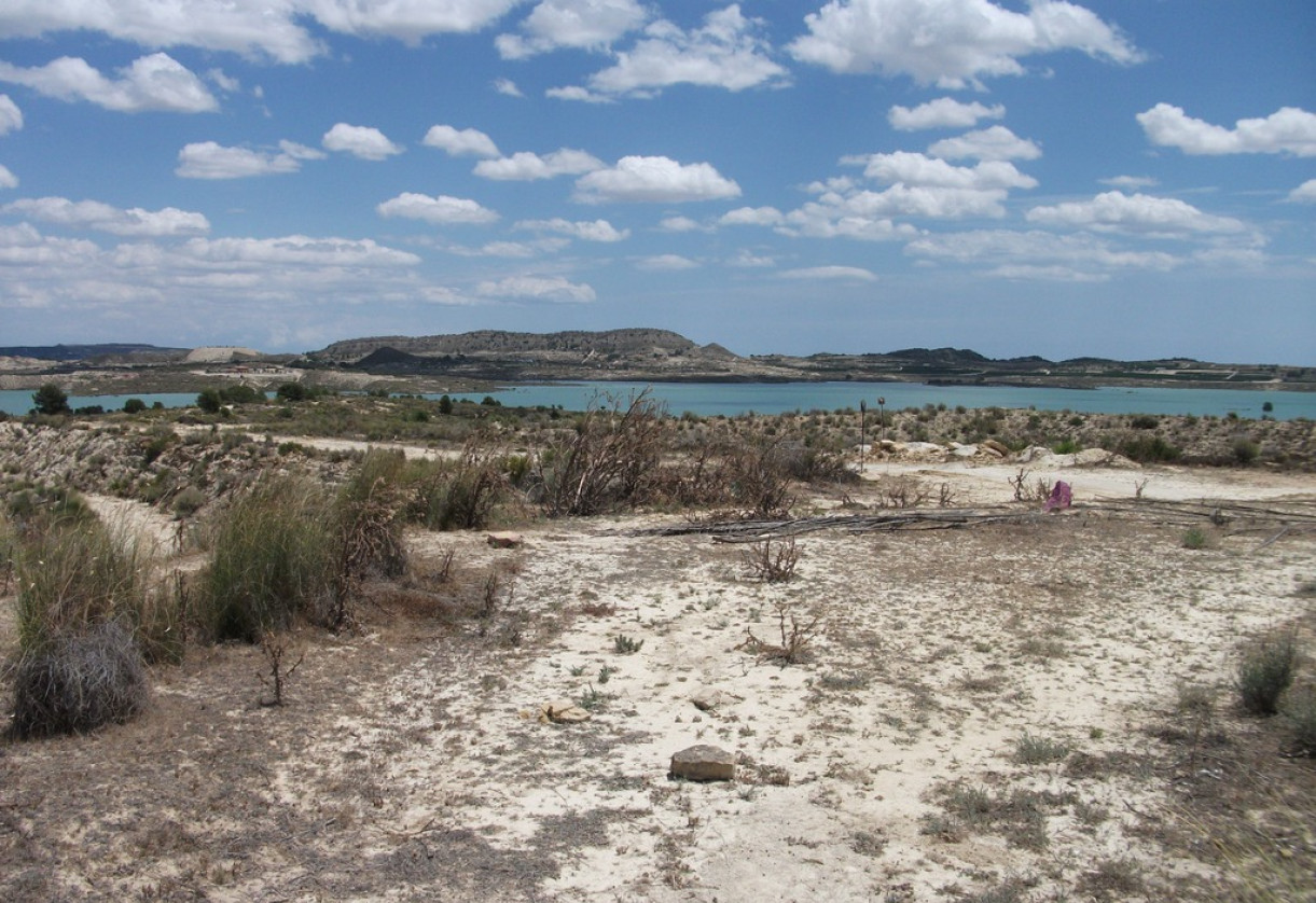 Rynek wtórny · Plot · Torremendo