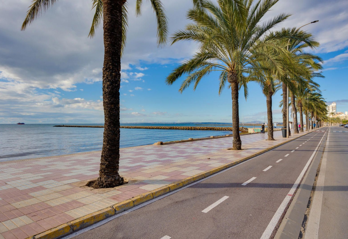 Resale · detached house · Santa Pola