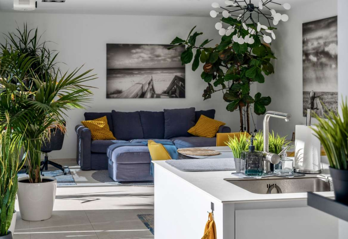 Rynek wtórny · detached house · Calpe