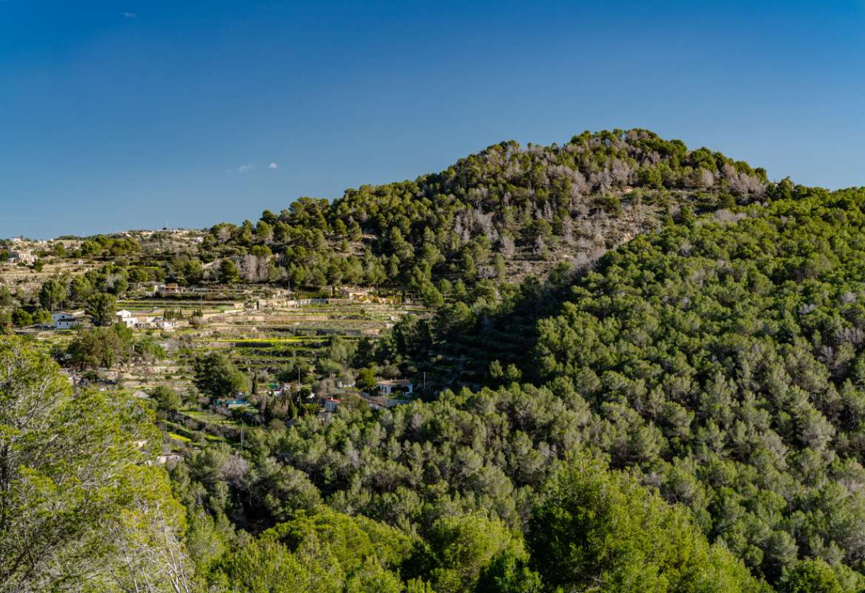 Rynek wtórny · Townhouse · Calpe