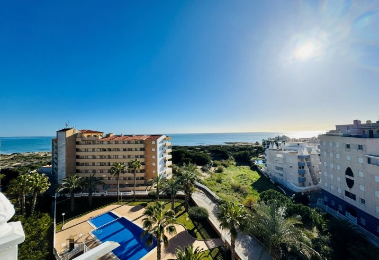 Rynek wtórny · penthouse · La Mata · Alanis