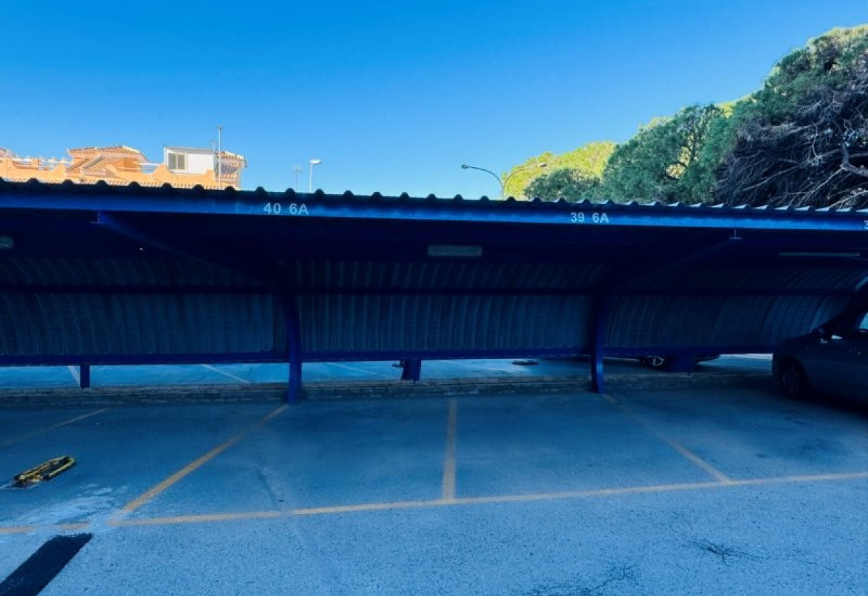 Rynek wtórny · penthouse · La Mata · Alanis