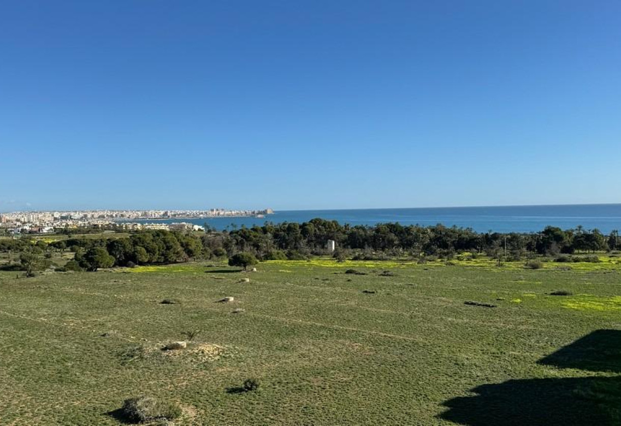 Rynek wtórny · Apartment · Torrevieja · Punta prima