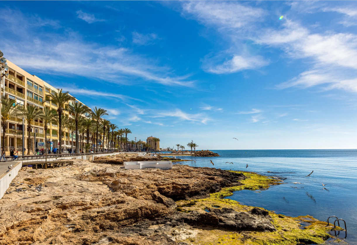 Sale · penthouse · Torrevieja · Habaneras