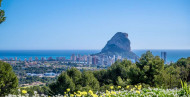 Sale · detached house · Calpe