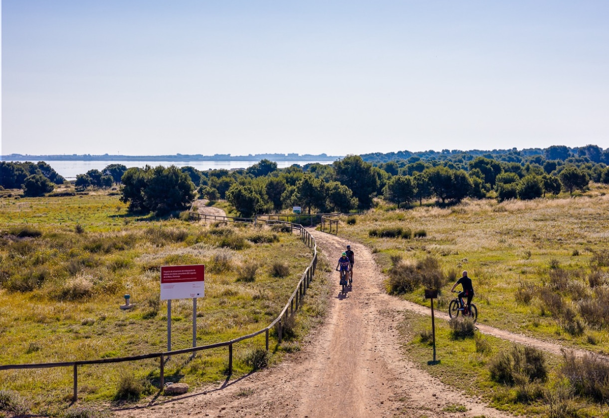 Resale · Townhouse · Torrevieja - La Torreta