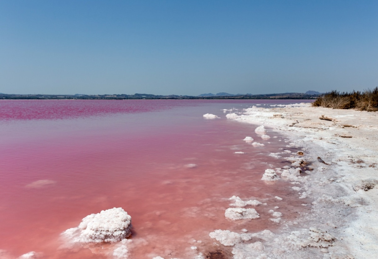 Resale · Townhouse · Torrevieja - La Torreta