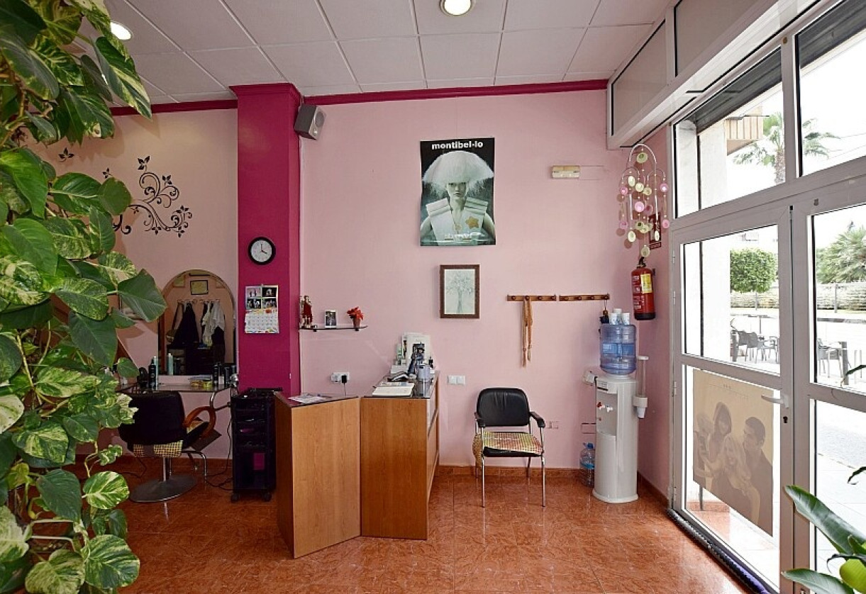 Resale · Commercial · Torrevieja · Paseo de Torrevieja