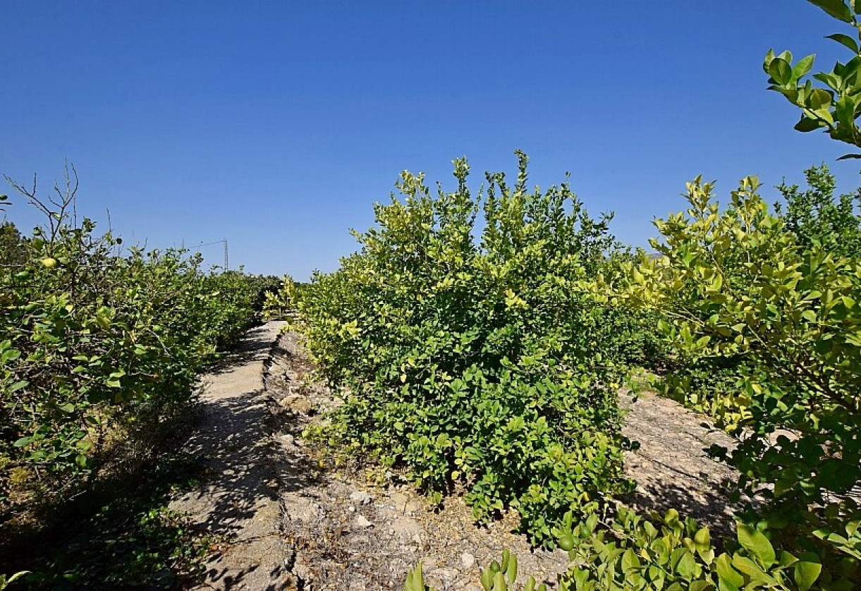 Rynek wtórny · Country house · Albatera